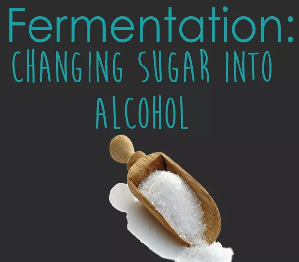 葡萄酒糖分越高，酒精度就越低？