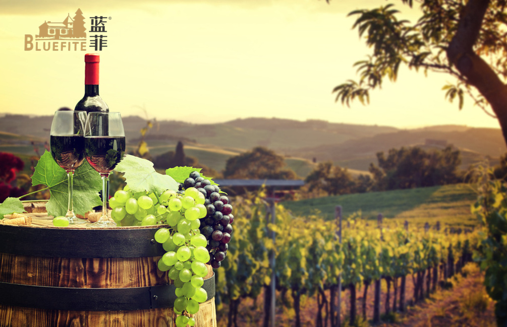 葡萄酒產(chǎn)業(yè)升級，提高葡萄酒安全質(zhì)量是關(guān)鍵